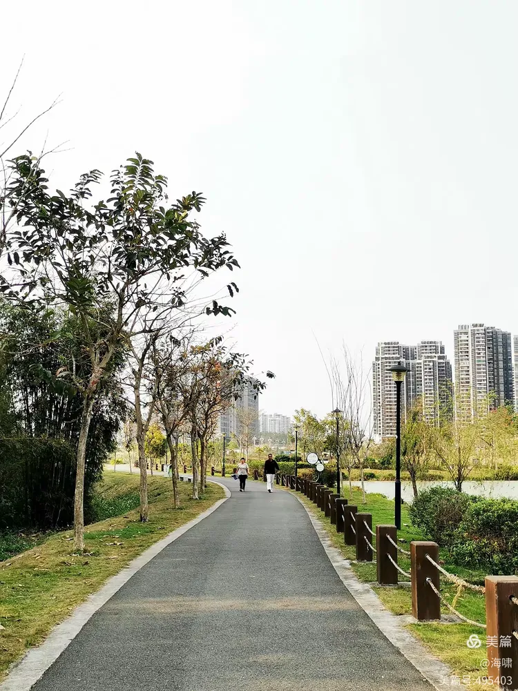 台山市金星湖湿地公园